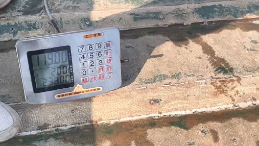 江苏叁拾叁渔场智能上鱼称重机